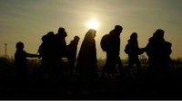 Большинство нелегальных мигрантов задерживаны на территории Болгарии