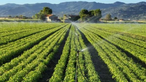 EК одобрила государственную помощь для полива сельхозкультур