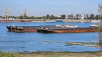 Критически низким остается уровень воды в Дунае, но АЭС &laquo;Козлодуй&raquo; работает