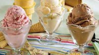 Болгары потребляют по 3,5 литров мороженого в год