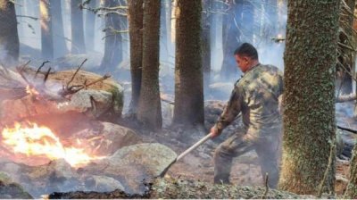 Началась благотворительная кампания по оказанию помощи пожарным в Риле