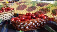 Пестрые праздники и фестивали на летние выходные в Болгарии