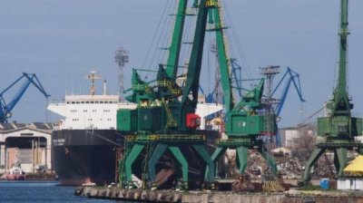 Из-за отсутствия сырья болгарские переработчики ввозят рапс из Канады