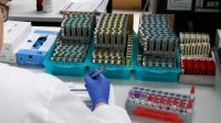 203 новых случая Covid-19 из 6 232 PCR-тестов