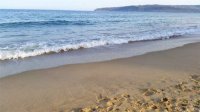 Министър Ненов: болгарское море становится все более чистым!