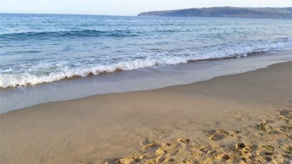 Министър Ненов: болгарское море становится все более чистым!