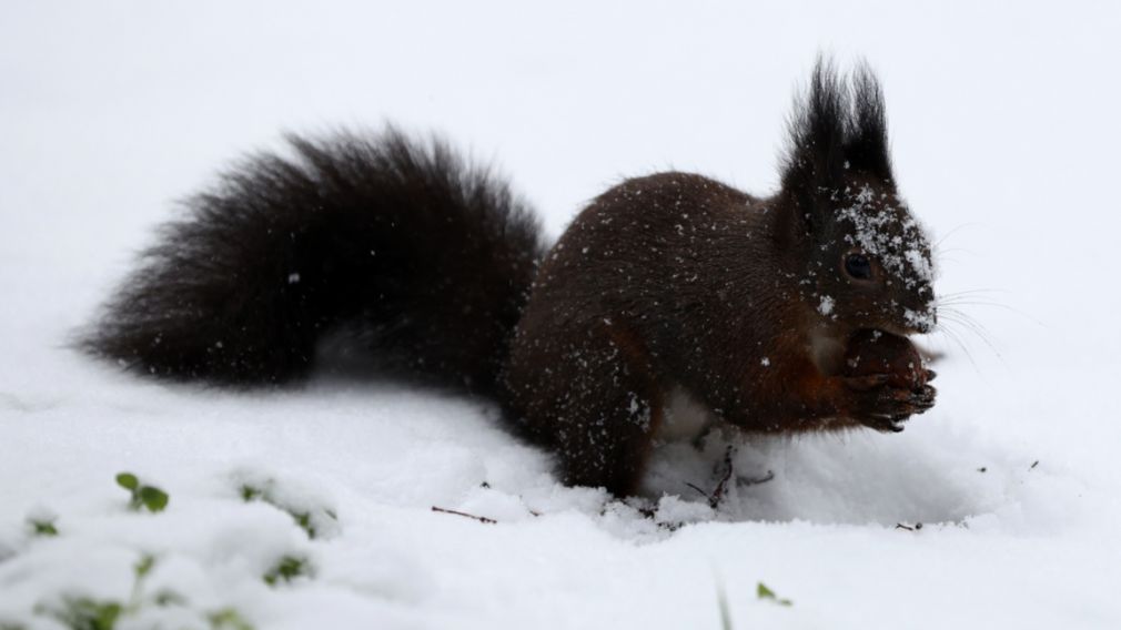 Прогноз погоды на 31 января 30.01.2026