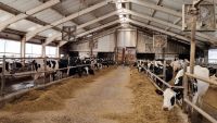 Рыночные искажения приводят к закрытию молочных ферм
