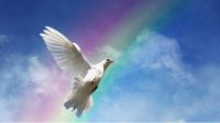 Отмечаем День спасения в память о погибших при спасении людей