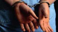 В Сербии задержаны наркотрафиканты в направлении в Болгарии