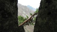 Летнее путешествие по заповеднику «Сосковчето» в горах Родопы
