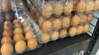 Яйца, импортированные из Украины, безопасны и соответствуют всем стандартам