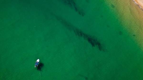 Фотографическое исследование Черного моря с воздуха