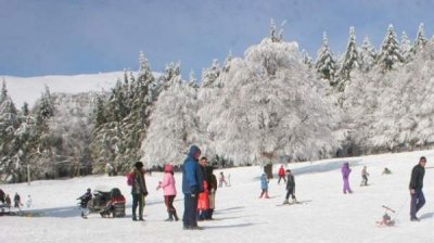 Зимние каникулы в муниципалитете Разлог