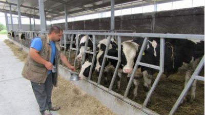 Правительство выделит почти 30 млн. евро животноводам