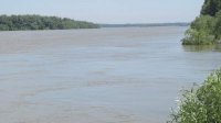 Превентивные действия в связи с информацией о повышении уровня реки Дунай