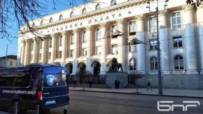 Максимальных приговоров за издевательства и расправу над животными в Пернике требуют протестующие в Софии