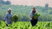 Болгарские фермеры среди самых бедных на Балканах