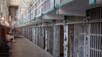 Болгарку осудили в России из-за негативных комментариев о войне в Украине
