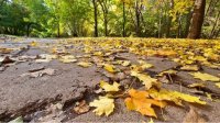 Во вторник - тепло с рассеянной облачностью