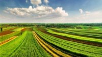 Земли сельхозназначения дешевеют на Востоке и дорожают на Северо-западе