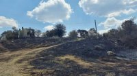 Лесной пожар в Греции направился к Болгарии