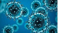 Болгарские и греческие ученые будут изучать механизмы коронавирусов