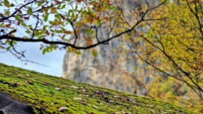 После осеннего утра летние температуры днем