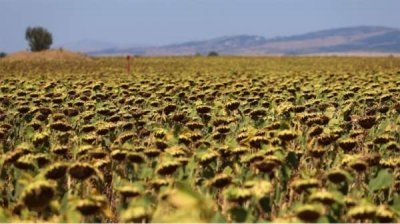 Кратковременные дожди снизят жару