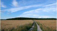 Цены на покупку земель сельскохозяйственного назначения растут, а цены на аренду падают