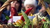 Будет ли 2012-й годом болгарских производителей овощей и фруктов?