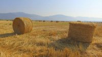 7.7 млрд евро субсидий планируется для сельского хозяйства Болгарии