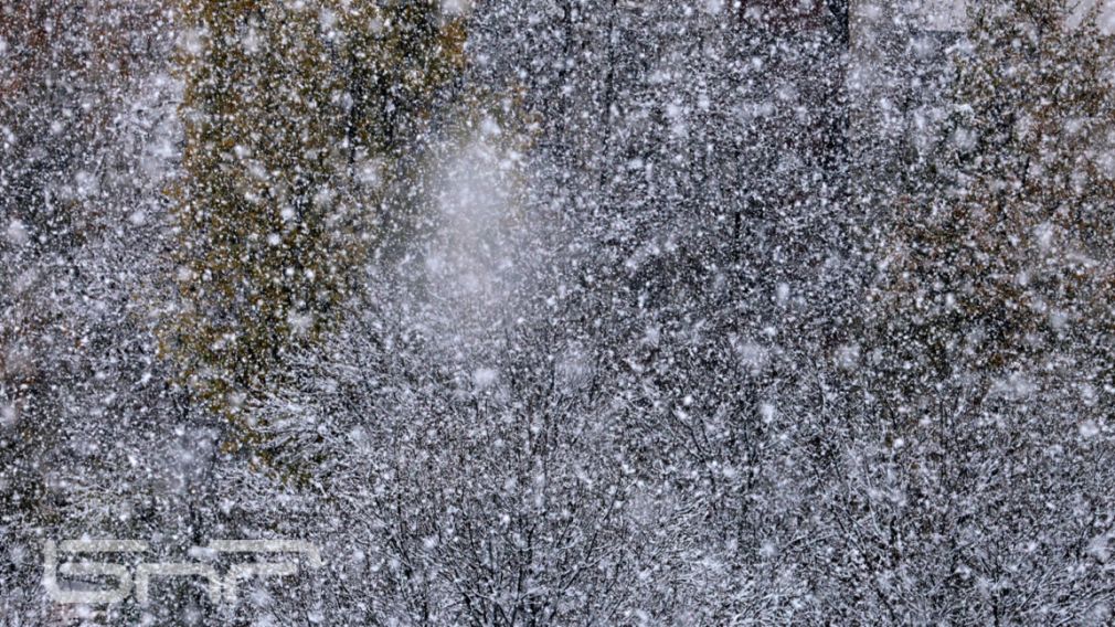 Прогноз погоды на 21 января 2026