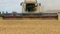 Россия приостановила участие в &quot;зерновой сделке&quot; на неопределенный срок