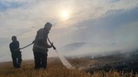 За последние сутки в Болгарии потушено 207 пожаров