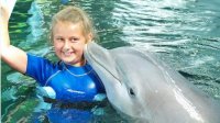 Варна снова предлагает плавание с дельфинами