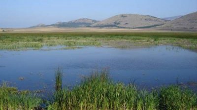 Алдомировское болото обретает свою былую славу