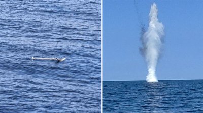 Обезвредили беспилотник в Черном море в 40 км от болгарского побережья
