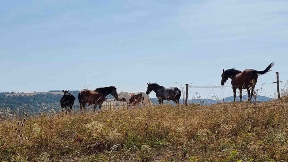 Прогноз погоды на 28 февраля 2026