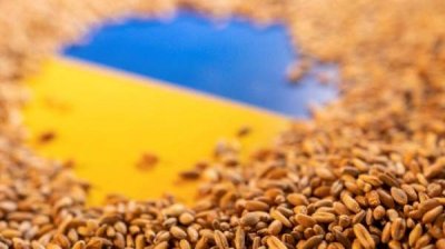 Принято решение о снятии запрета на ввоз зерна из Украины