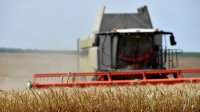 Болгарские производители обеспокоены рекордно высоким урожаем пшеницы