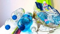 Даже разложившийся пластик отравляет окружающую среду и проникает в живые организмы