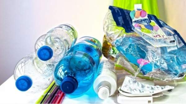 Даже разложившийся пластик отравляет окружающую среду и проникает в живые организмы