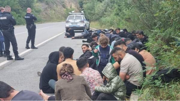 Задержали сербского дальнобойщика, перевозящего 80 нелегальных мигрантов