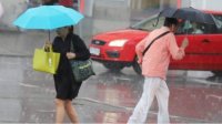 В 6 областях на юго-западе и в Софии желтый уровень погодной опасности из-за дождей