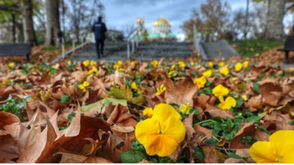 Прогноз погоды на 9 октября