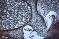 “Орлы – красивые птицы” – рождественская выставка детских рисунков