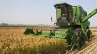 2021 г. оказался удачным для производителей зерна
