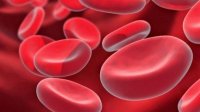 Коронавирус может повреждать кровеносную систему