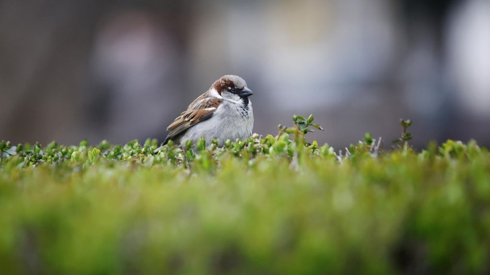 Прогноз погоды на 21 марта 2026